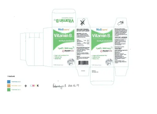 [300511] Wellcare Витамин В12 1000мкг-5мл цацлага